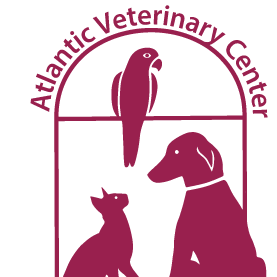 Atlantic Veterinary Center | 741 N Broad St, Middletown, DE 19709, USA | Phone: (302) 376-7506