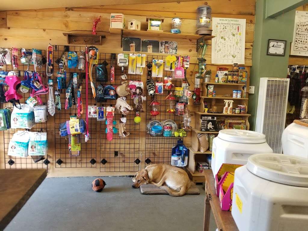 Hilltop Pet Supplies | 32009 Hilltop Blvd, Running Springs, CA 92382, USA | Phone: (909) 867-7387