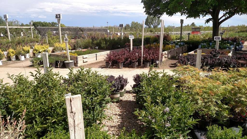 The Tree Farm Nursery & Garden Center | 11868 Mineral Rd, Longmont, CO 80504, USA | Phone: (303) 652-2961