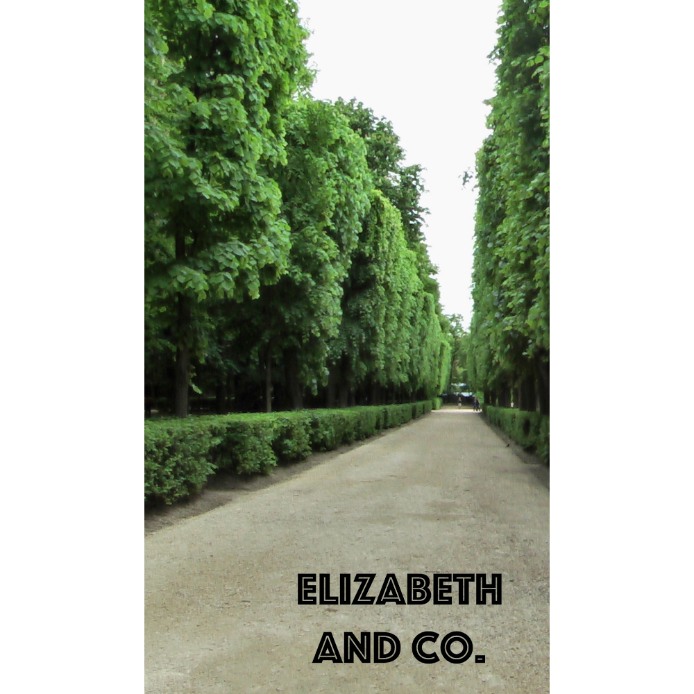 Elizabeth and Company | 9340 Beatties Ford Rd, Huntersville, NC 28078, USA | Phone: (704) 206-0844