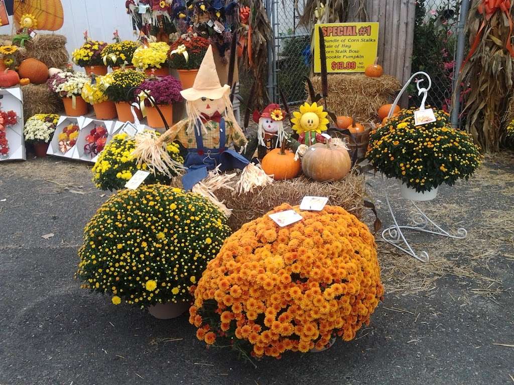 Hilltop Garden Center | 1339 N Black Horse Pike, Blackwood, NJ 08012, USA | Phone: (856) 232-8844