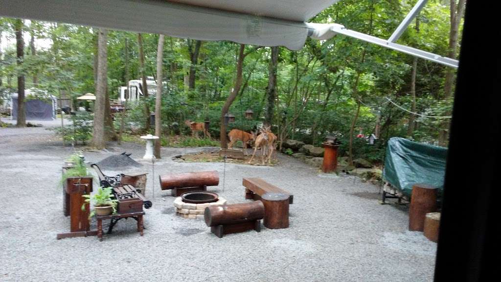 Colonial Woods Family Camping Resort | 545 Lonely Cottage Rd, Upper Black Eddy, PA 18972, USA | Phone: (610) 847-5808