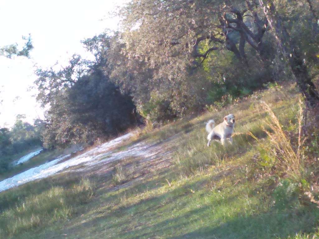 Lake Marion Creek Wildlife Management Area | Eileen Lake Blvd, Haines City, FL 33844, USA | Phone: (863) 648-3200