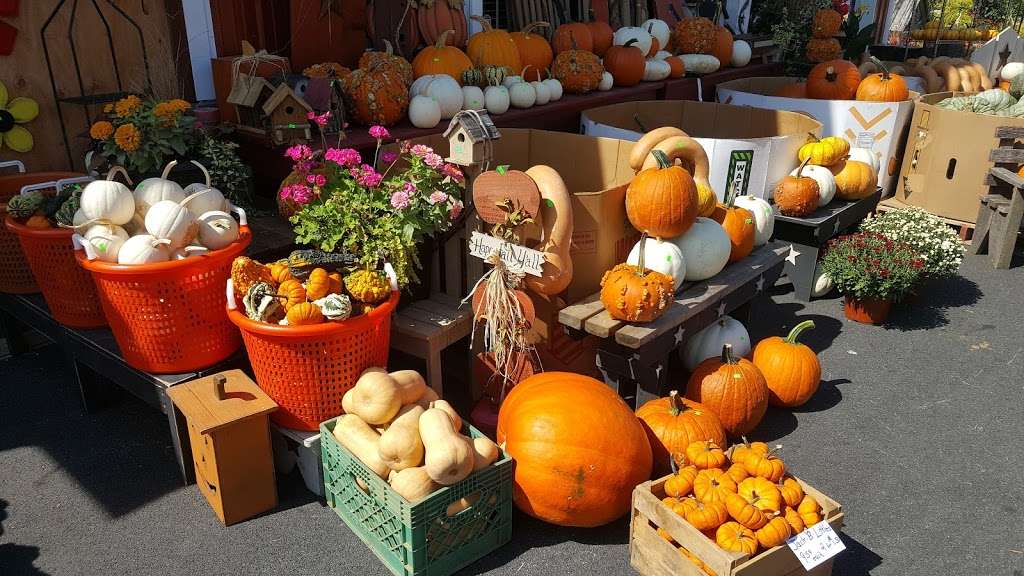 Fisher’s Roadside Market in 859 Strasburg Rd, Paradise, PA 17562, USA
