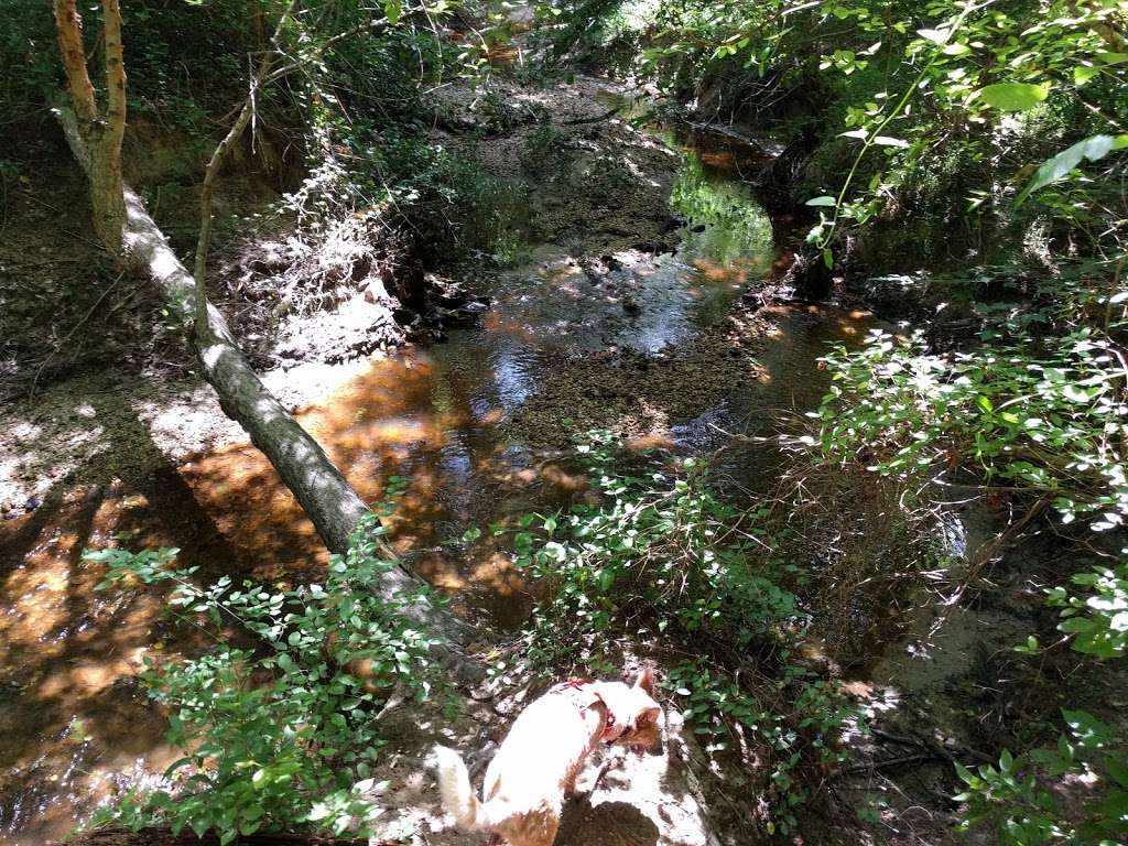 Hanover Wayside Park | 8225 Hanover Wayside Rd, Mechanicsville Hanover Wayside Rd, Hanover, VA 23069, USA | Phone: (804) 365-7150