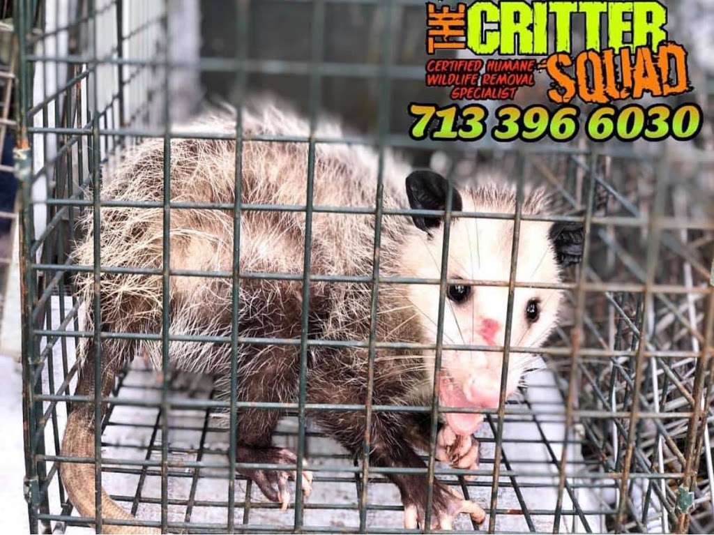 The Critter Squad Inc | 2811 County Rd 163, Alvin, TX 77511, USA | Phone: (281) 849-6008