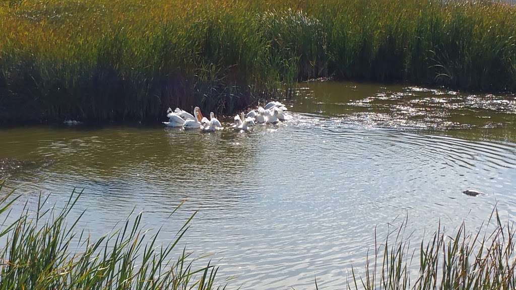 Hamilton Wetlands | Novato, CA 94949, USA