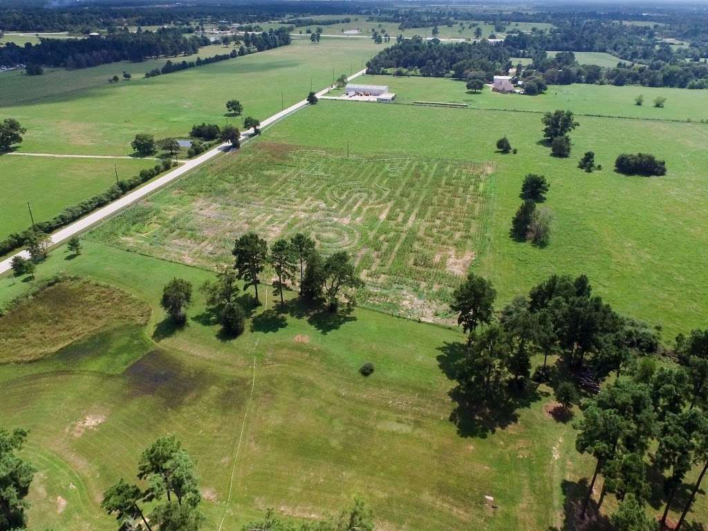 Tomball Corn Maze | 22601 Lutheran Church Rd, Tomball, TX 77377, USA | Phone: (346) 800-2676