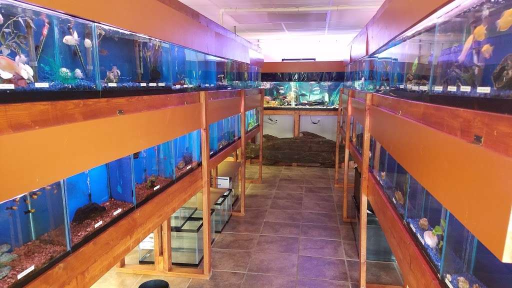 One Fish Two Fish | 2048 US-209, Brodheadsville, PA 18322, USA | Phone: (570) 992-1230