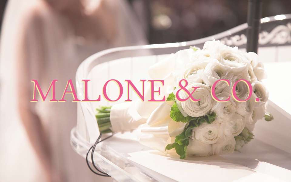 Malone and Co | 10 Bexley High St, Bexley DA5 1AD, UK | Phone: 01322 524910