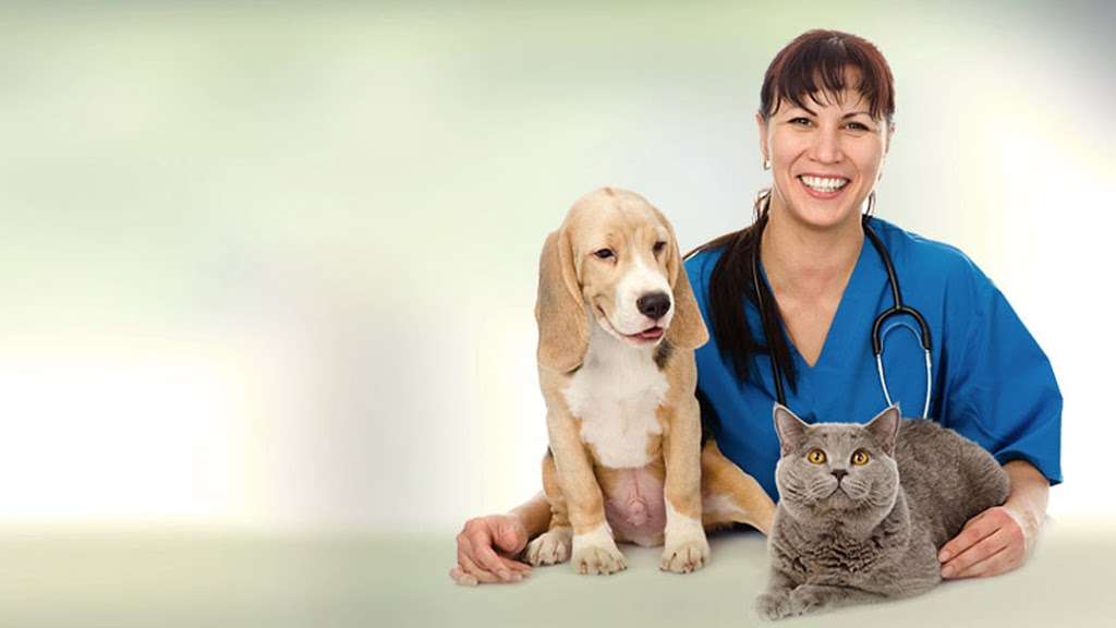 South Jersey Animal Hospital | 204 Medford Mt Holly Rd, Medford, NJ 08055, USA | Phone: (609) 654-0300