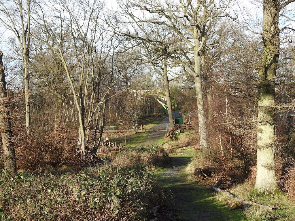 Parndon Wood Nature Reserve | Harlow CM19 4SF, UK | Phone: 01279 430005