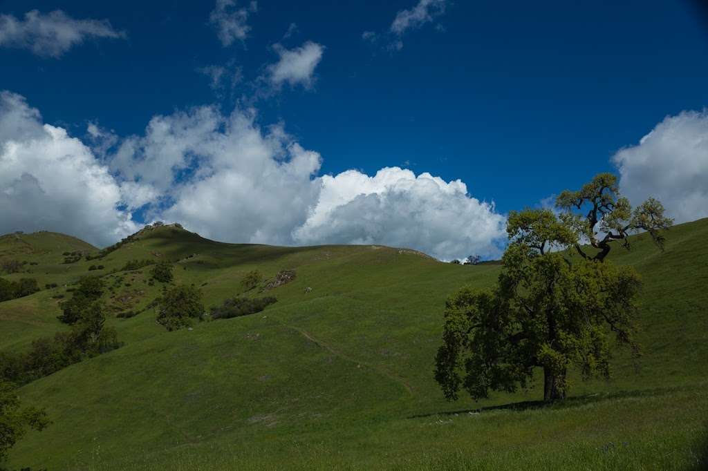 Eagles Eyrie Backpack Camp | Sunol, CA 94586, USA