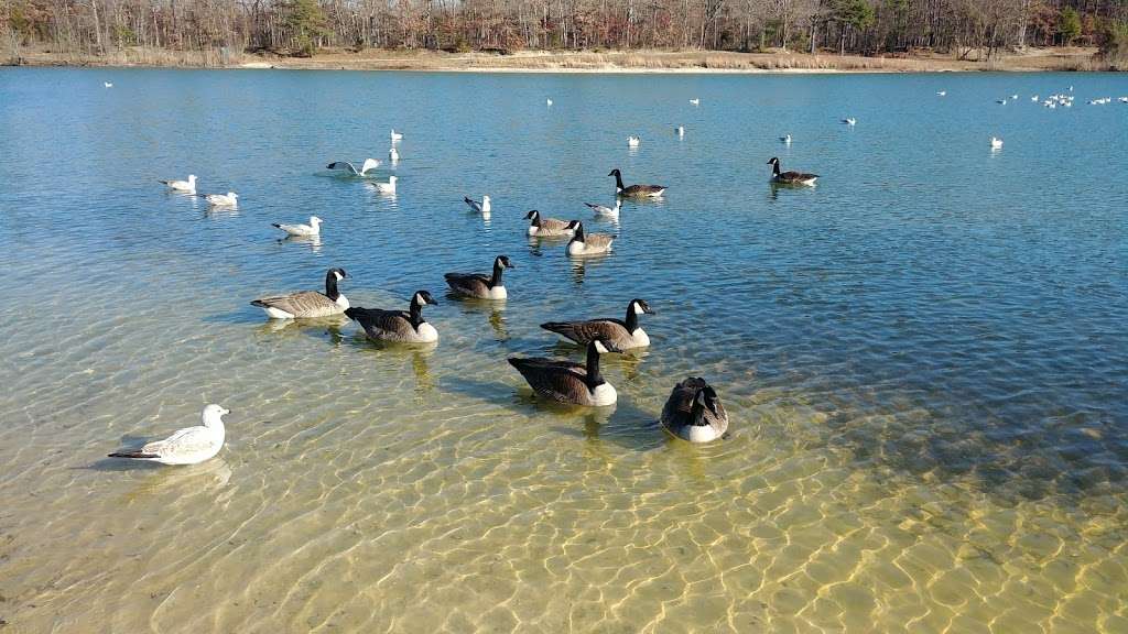 South Vineland Disc Golf Course- Crystal Lake | W Elmer Rd, Vineland, NJ 08360, USA