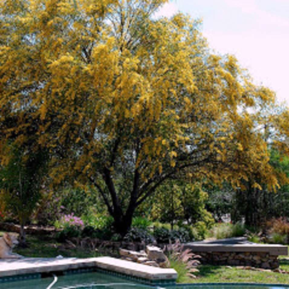 Carol Shuttleworth, Realtor California Equestrian Properties | 2267 Country Creek Rd, San Marcos, CA 92069, USA | Phone: (760) 522-2267