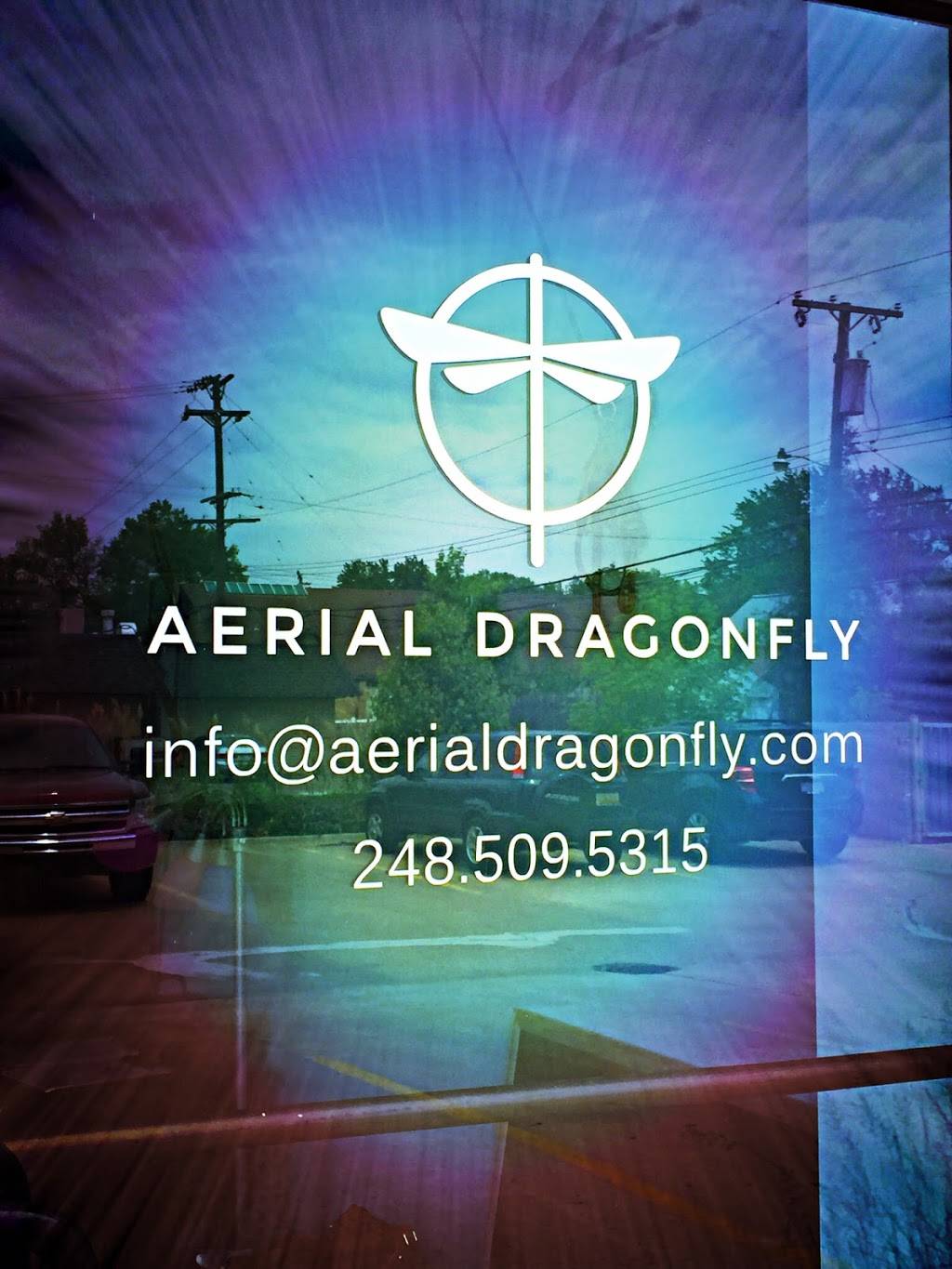 Aerial Dragonfly Movement Studio | 3025 Hilton Rd, Ferndale, MI 48220, USA | Phone: (248) 509-5315