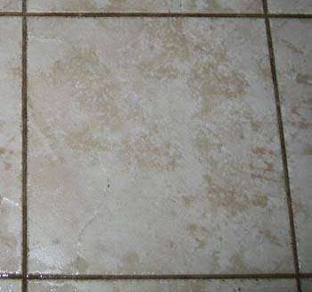 Xtreme Grout Cleaning Boston | 26 Foundry Rd, Sharon, MA 02067, USA | Phone: (781) 793-0700