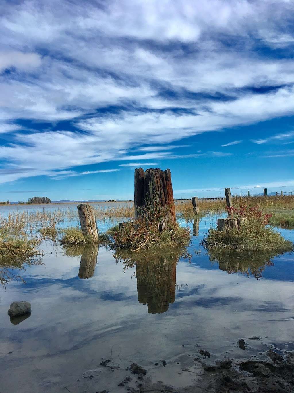 Black Point Boat Launch | 136 Harbor Dr, Novato, CA 94945, USA