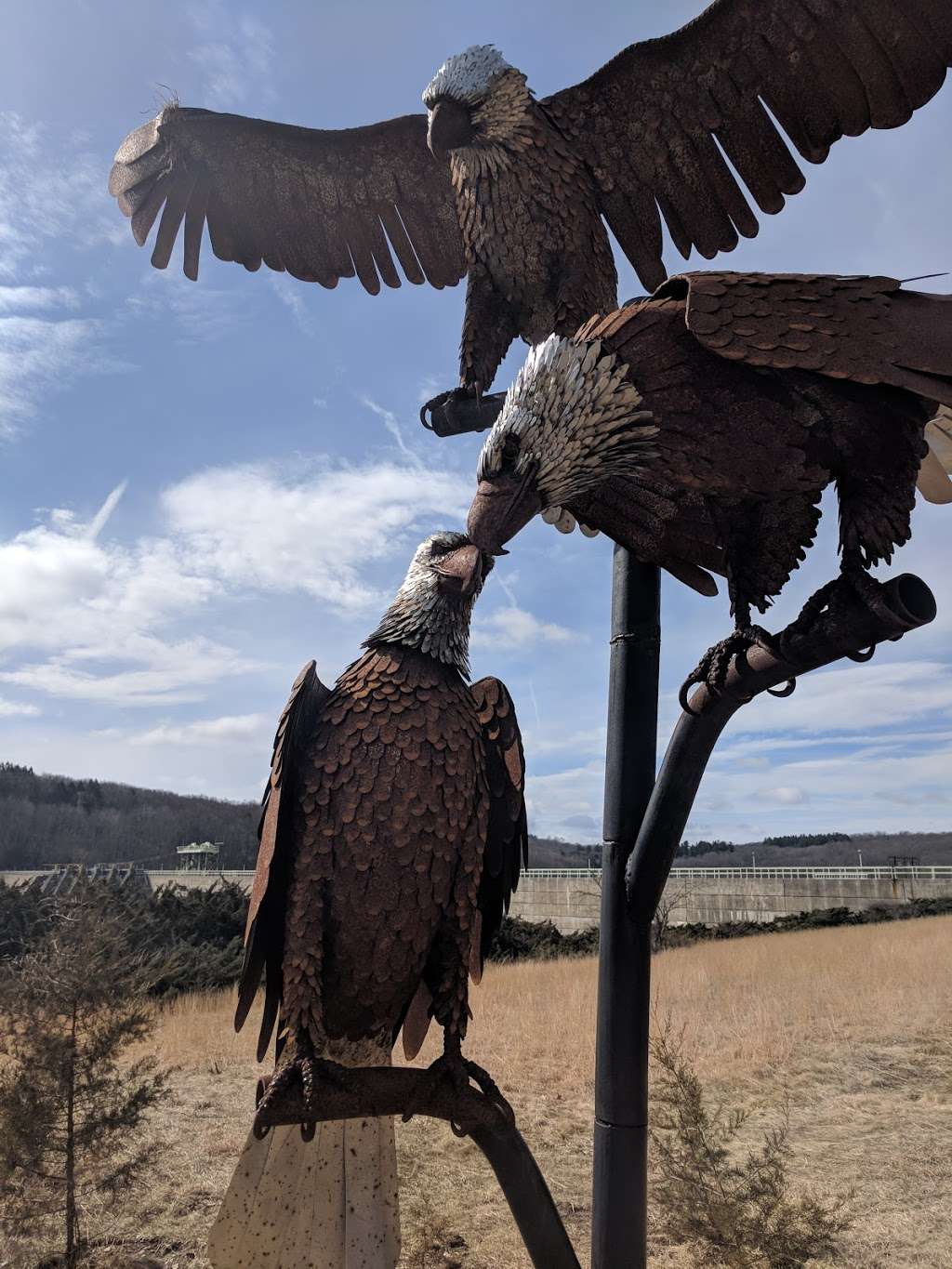 Shepaug Eagle Viewing | 2150 River Rd, Southbury, CT 06488, USA