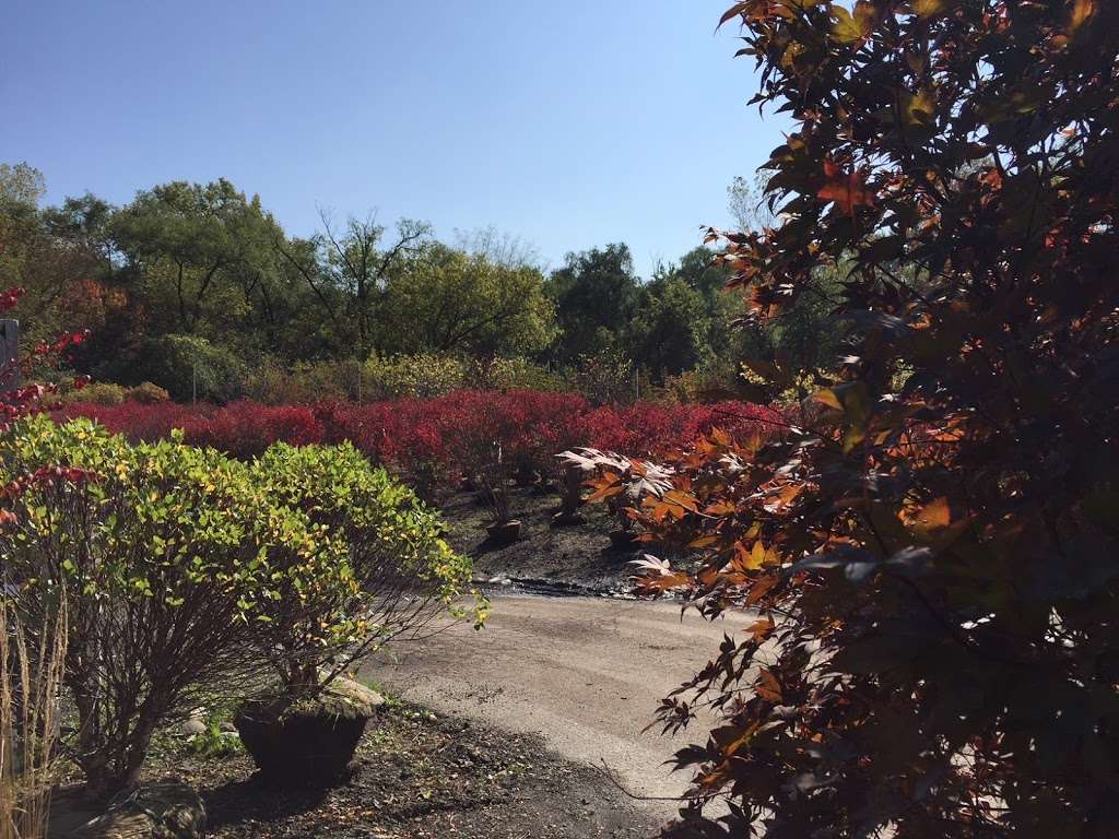 Rolling Hills Nursery | 22149 N Pet Ln, Lincolnshire, IL 60069, USA | Phone: (847) 634-3200