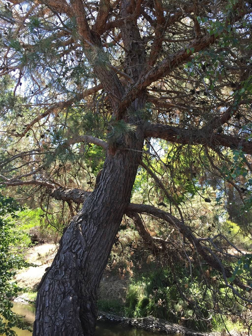 UC Davis Arboretum Gazebo | Garrod Dr, Davis, CA 95616, USA | Phone: (530) 752-4880