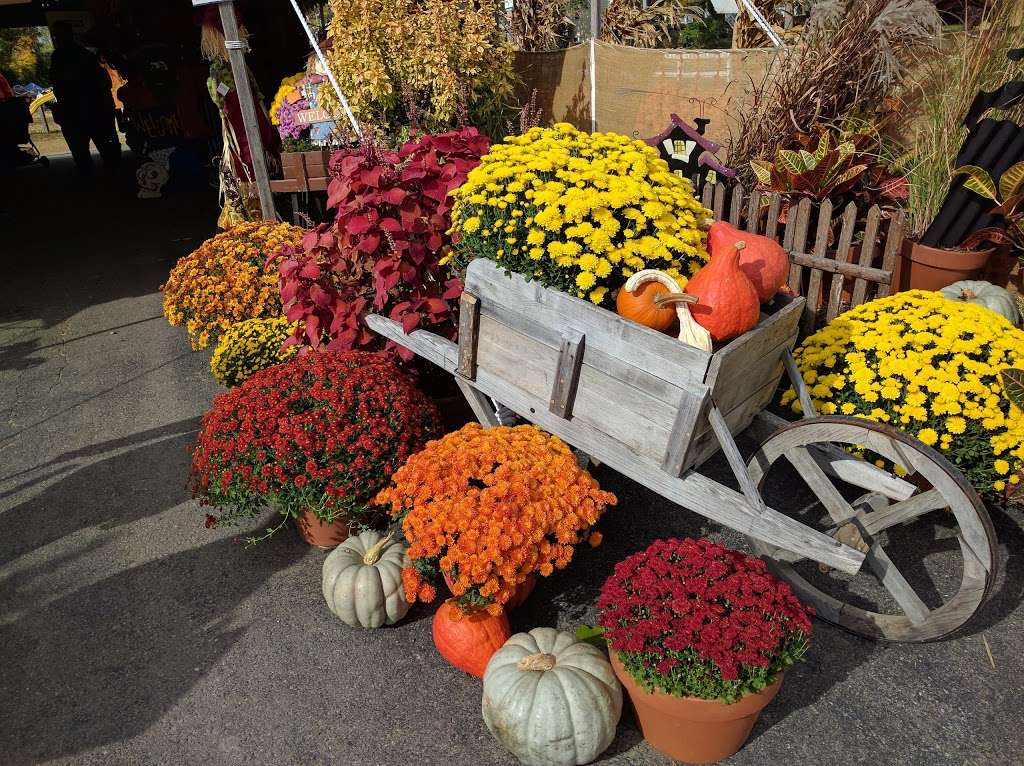 Burke Nursery & Garden Centre | 9401 Burke Rd, Burke, VA 22015, USA | Phone: (703) 323-1188