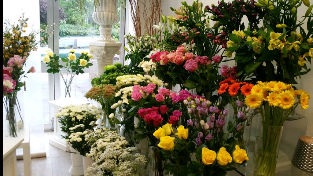 Ramels Florist | 12 Hatfield Rd, Potters Bar EN6 1HP, UK | Phone: 01707 657038