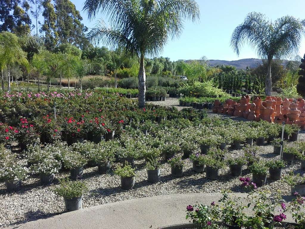 Sterling Gardens Nursery | 3909 Brennan Rd, Moorpark, CA 93021, USA | Phone: (805) 552-4454