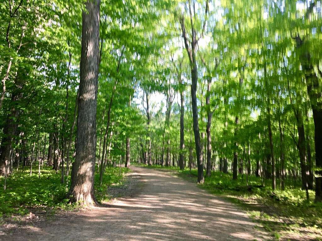 Lake County Forest Preserve | Deerfield, IL 60015, USA