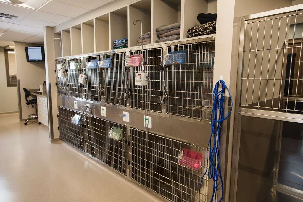 Piper Heritage Veterinary Clinic | 10041 Leavenworth Rd, Kansas City, KS 66109, USA | Phone: (913) 299-0010