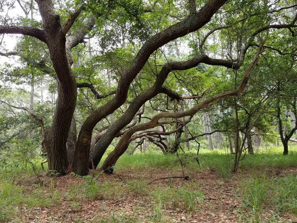 False Cape State Park | 4001 Sandpiper Rd, Virginia Beach, VA 23456 | Phone: (757) 426-7128