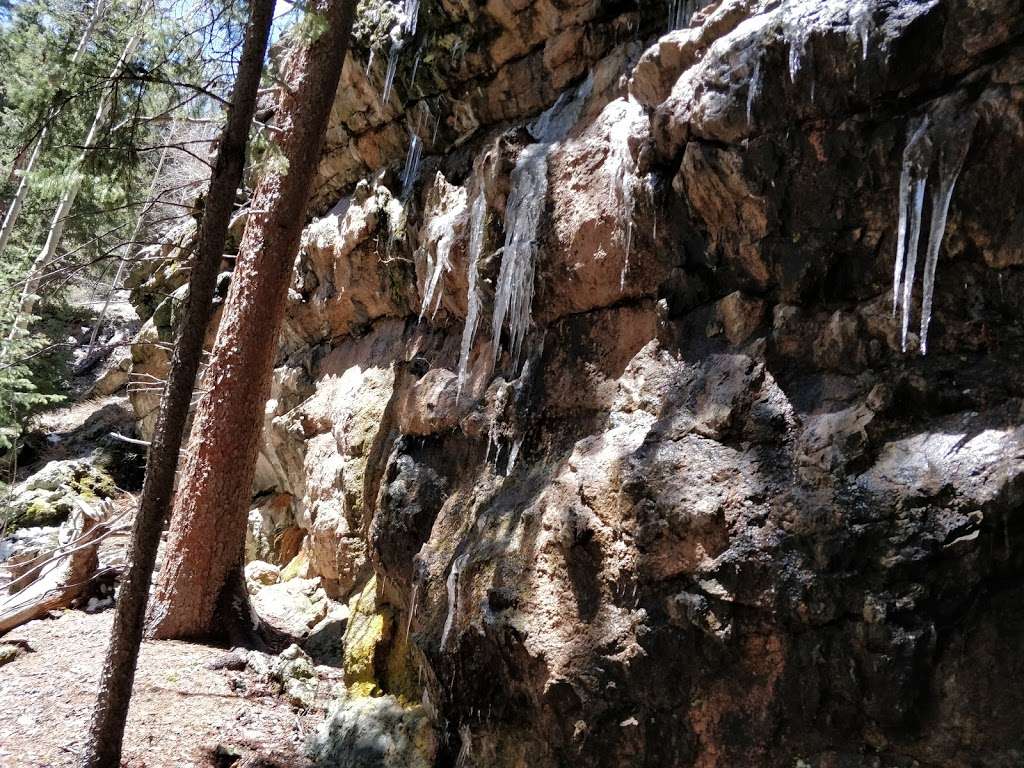 Three Mile Creek Trailhead | Grant, CO 80448, USA