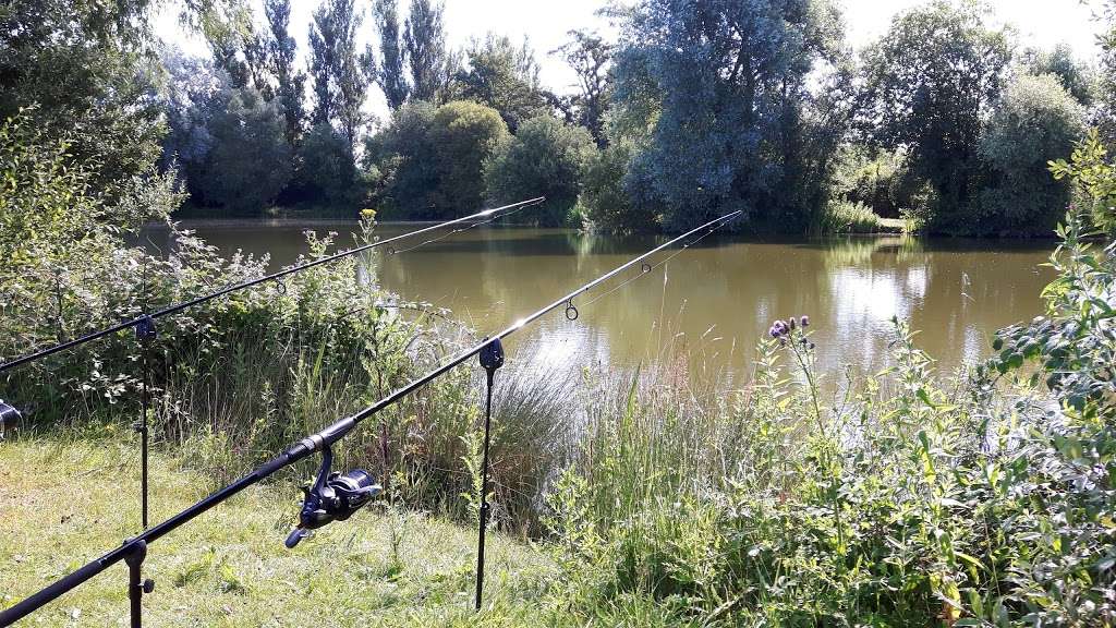 Birds Green Fishing Lakes | Birds Green, Ongar CM5 0FL, UK | Phone: 07847 753699