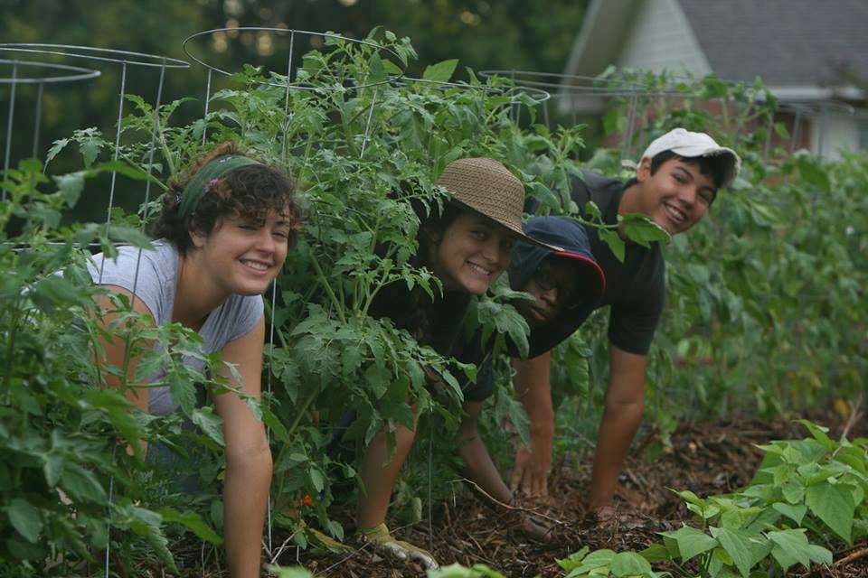 Empower School and Farm (Local Grown & Organic Produce) | 16411 Whistling Pines Rd, Umatilla, FL 32784, USA | Phone: (352) 978-0509