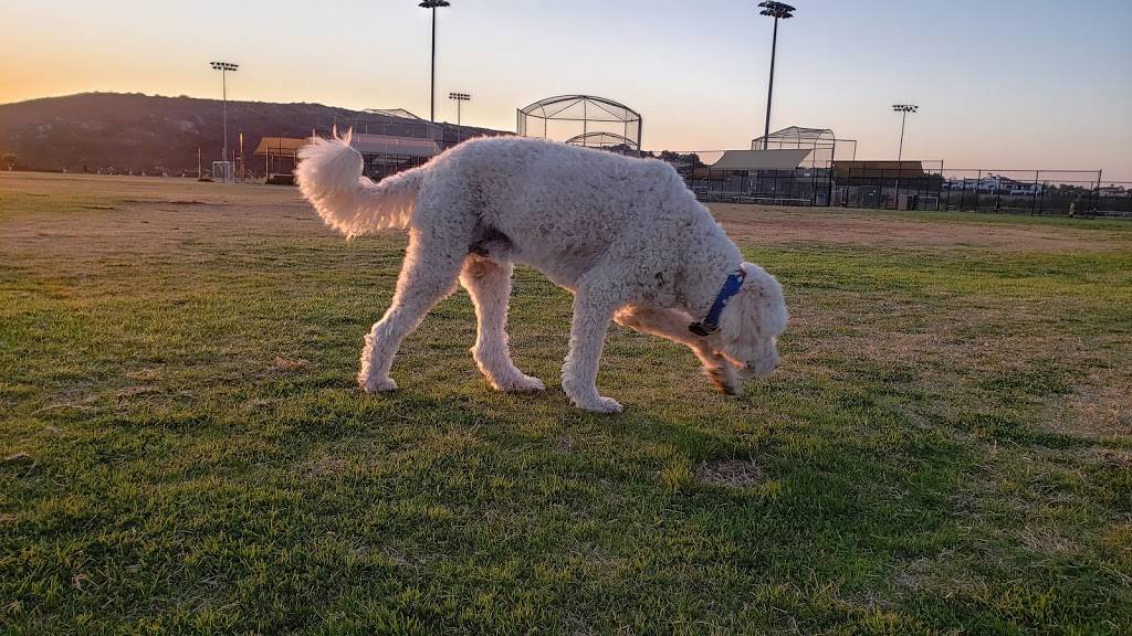 Valley Center Veterinary Clinic | 14219 Cool Valley Rd, Valley Center, CA 92082, USA | Phone: (760) 749-0560