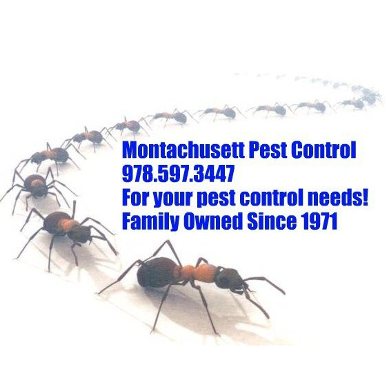 Montachusett Pest Control | 186 Pierce Rd, Townsend, MA 01469, USA | Phone: (978) 597-3447