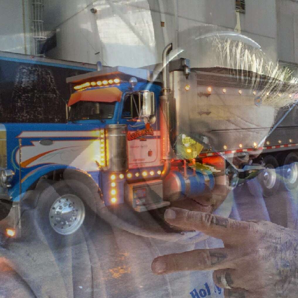 Wisniewski Trucking Corporation Inc | 43 Bennett Ave, Randolph, NJ 07869, USA | Phone: (973) 366-6464