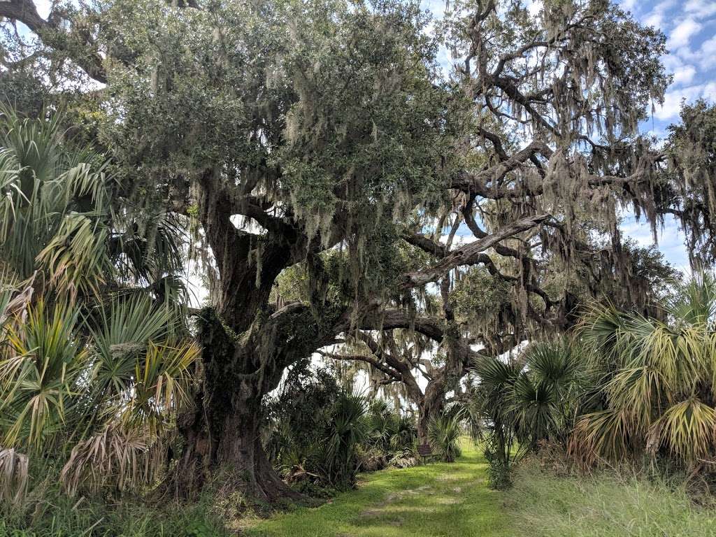 Twin Oaks Conservation Area | 2001 Macy Island Rd, Kissimmee, FL 34744, USA