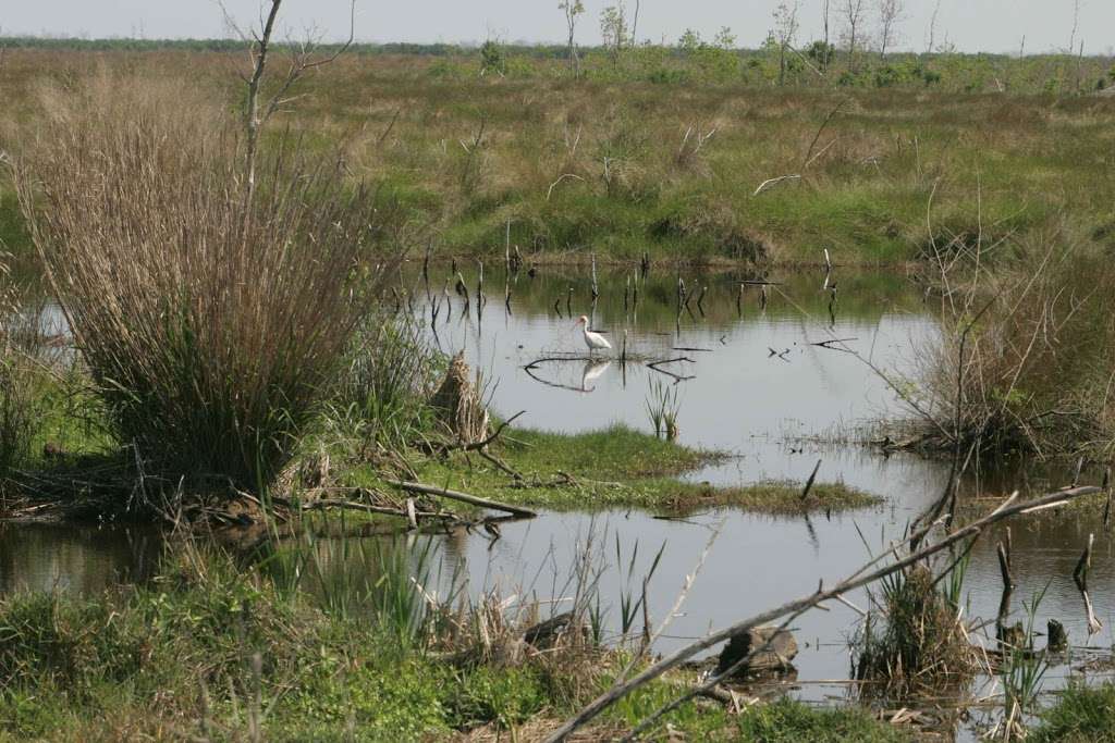 Davis Hill State Park | Cleveland, TX 77327, USA