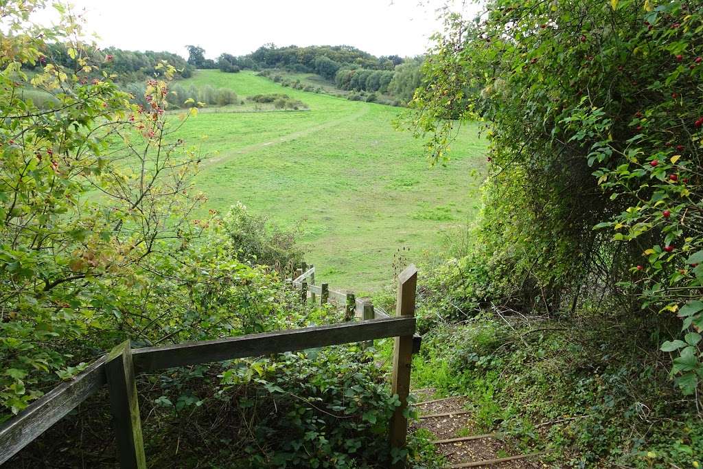 Waterford Heath Community Nature Park | Hertford SG14, UK