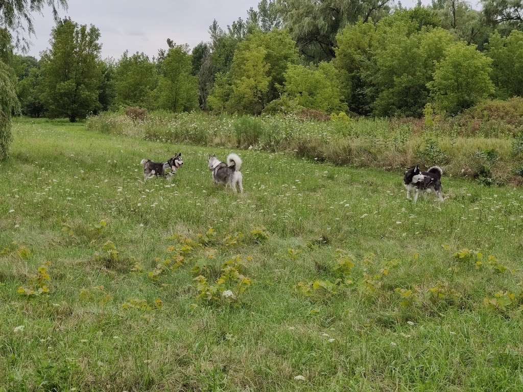 Terri Tinsley Dog Exercise Area | W5098 Canine Dr, Johnson Creek, WI 53038, USA | Phone: (920) 674-7260