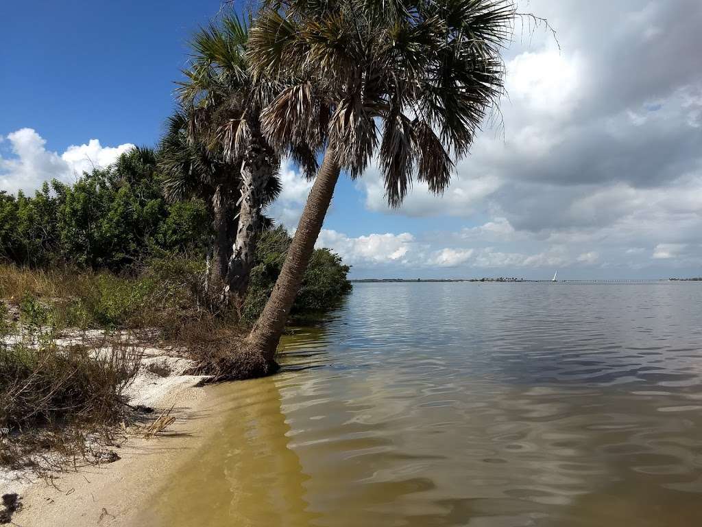 Horseshoe Crab Island | Titusville, FL 32796, USA