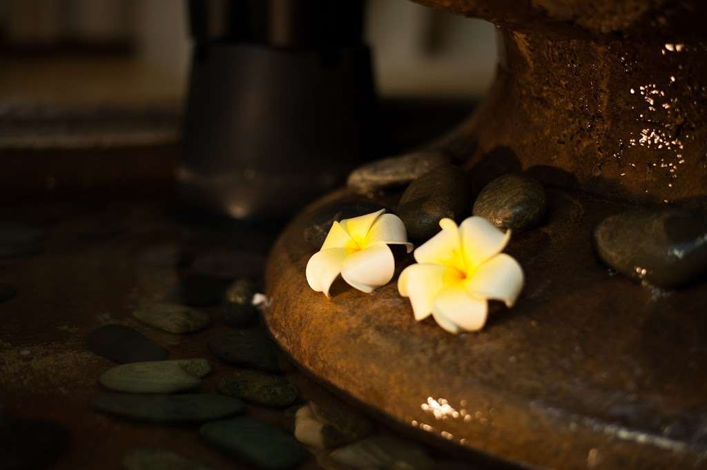 Sparadise La Brea | 1251 South La Brea Ave, Los Angeles, CA 90019, USA | Phone: (323) 857-0228