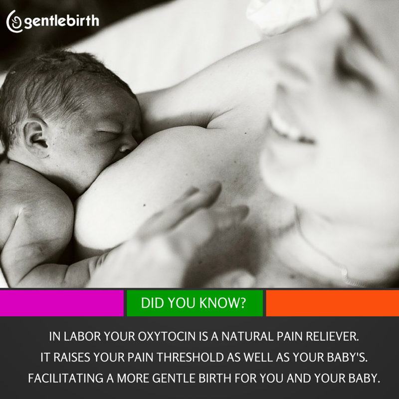GentleBirth LLC | 165 Jasmine Ct, Mountain View, CA 94043, USA | Phone: (650) 450-2770