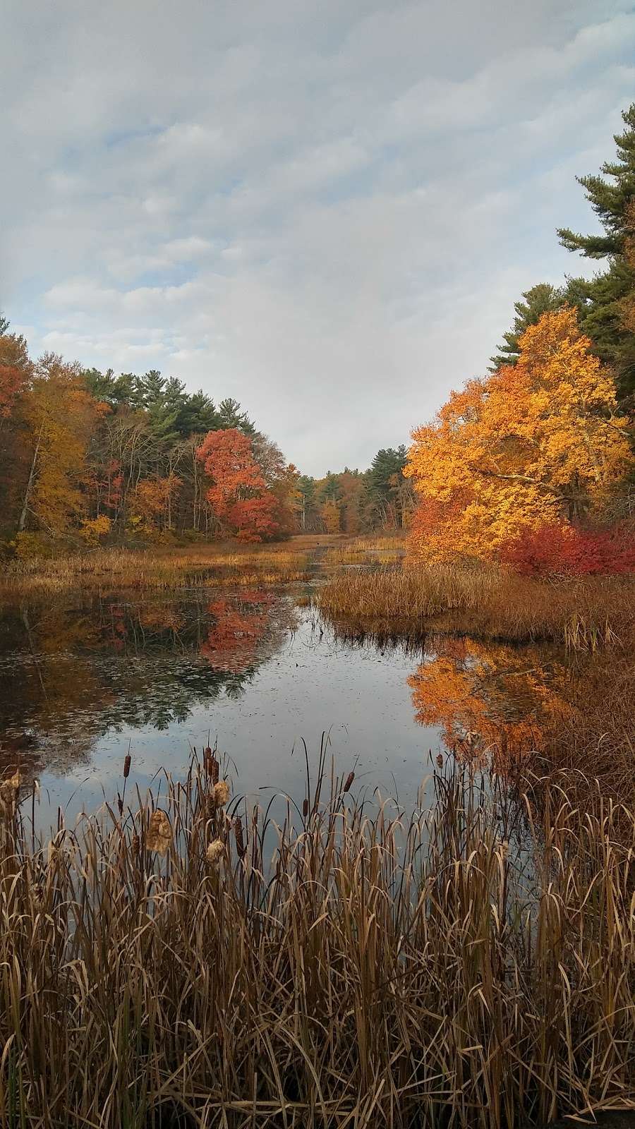 Cranberry Watershed Preserve | Bay Circuit Trail Kingston, Kingston, MA 02364, USA