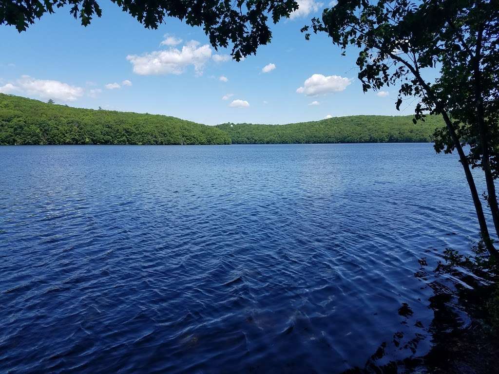 George C Waldo State Park | 457 Purchase Brook Rd, Southbury, CT 06488, USA | Phone: (203) 262-0633