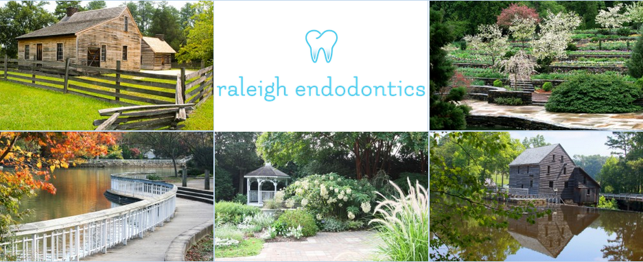 Raleigh Endodontics | 5710 Six Forks Rd #101, Raleigh, NC 27609, USA | Phone: (919) 866-1989