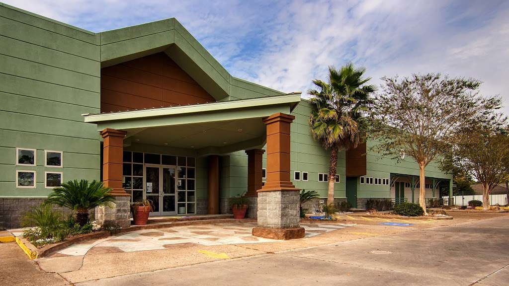 Montessori School of Downtown | 15625 Space Center Blvd, Houston, TX 77062, USA | Phone: (281) 488-7599