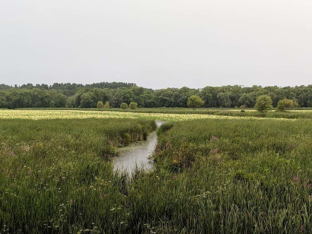 Great Meadows National Wildlife Refuge Concord Unit | Monsen Rd, Concord, MA 01742 | Phone: (978) 443-4661