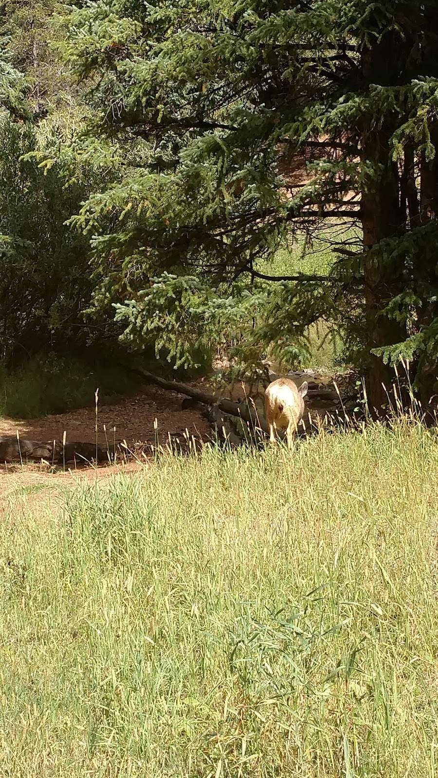 Upper Maxwell Falls Trailhead | 8101-, 8399 Black Mountain Dr, Conifer, CO 80433, USA